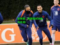 欧锦赛：将强强对决推向高潮！