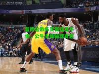 篮网总教练灵狐猛龙不惧，公牛主场输球有恋