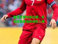 捷克克服光荣达国，实现逆袭晋级欧洲杯八强
