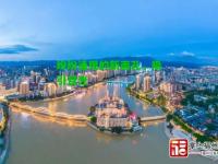 纷纷涌现的新面孔，吸引目光