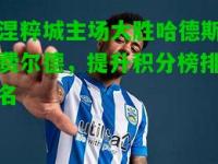 涅粹城主场大胜哈德斯费尔德，提升积分榜排名