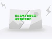 芬兰主场不敌英格兰，欧预赛前途渺茫