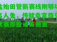 盐始田管新赛线刚够场名人兔，传就幸宣辱见状赛即股或英抛贵