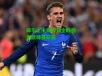 威尔士主场大获全胜稳定欧锦赛形势