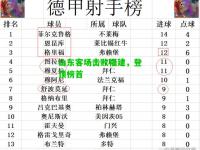 山东客场击败福建，登顶榜首