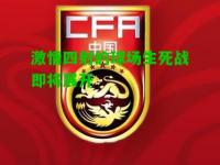 激情四射的球场生死战即将展开