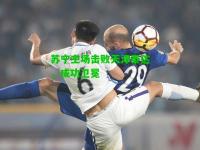 苏宁主场击败天津泰达，成功卫冕
