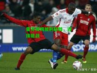 霍芬海姆披荆斩棘，迎接挑战