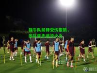 雄牛队前锋受伤报销，团队失去进攻火力