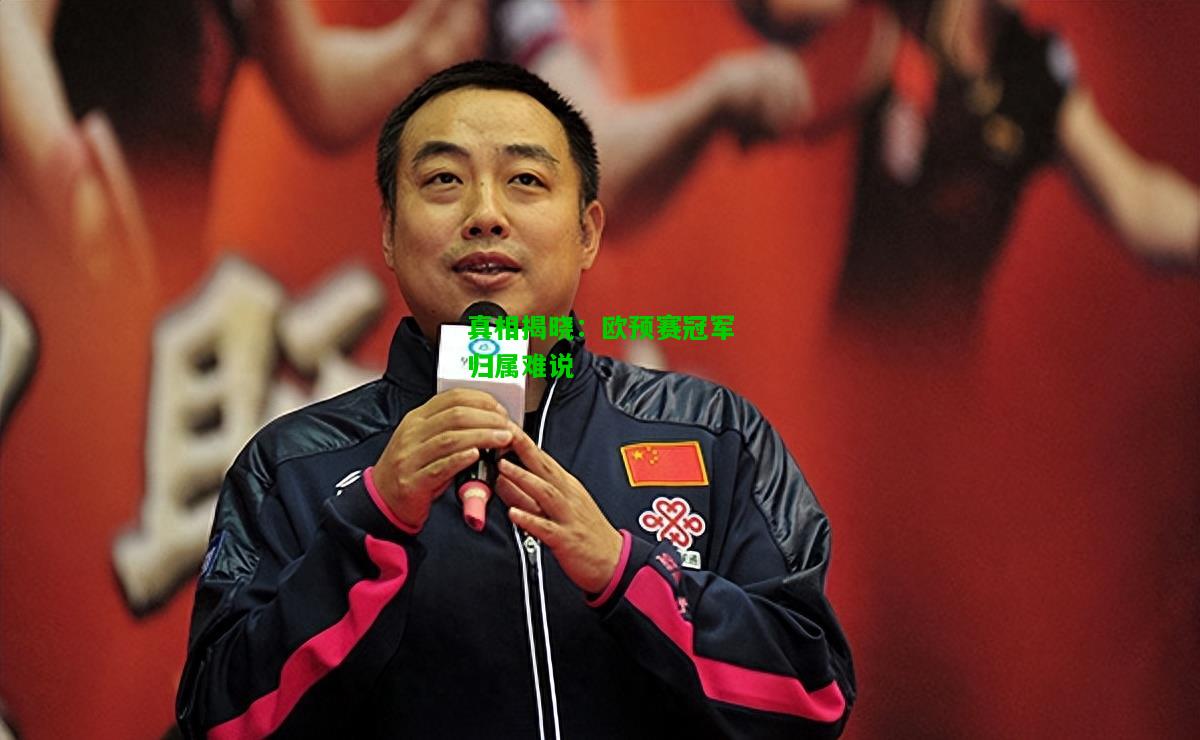 真相揭晓：欧预赛冠军归属难说