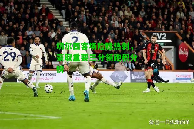 切尔西客场险胜热刺，豪取重要三分领跑积分榜
