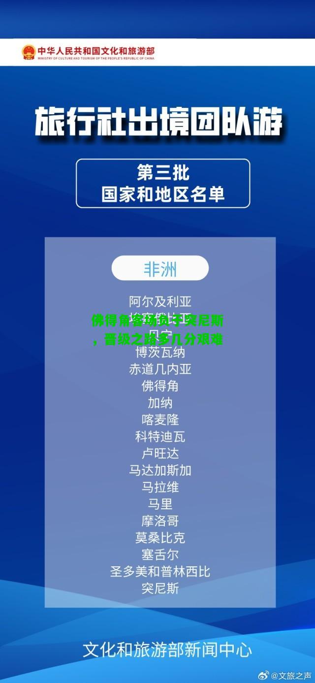 佛得角客场负于突尼斯，晋级之路多几分艰难