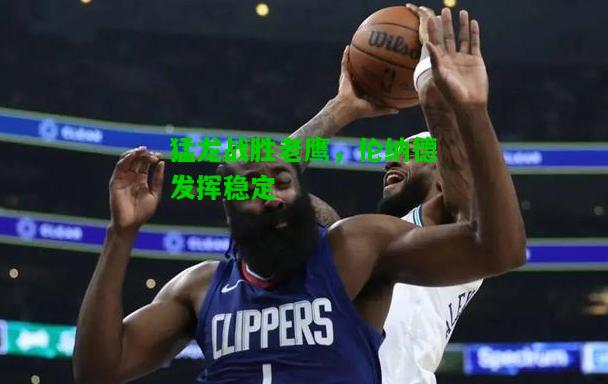 猛龙战胜老鹰，伦纳德发挥稳定