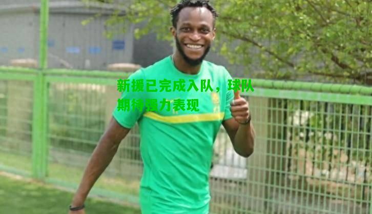 新援已完成入队，球队期待强力表现