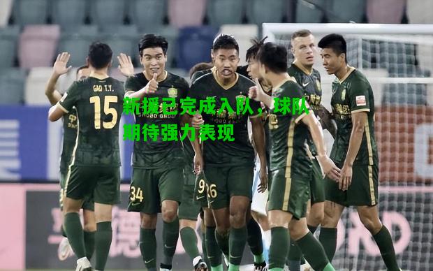 新援已完成入队，球队期待强力表现