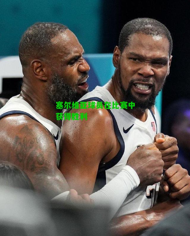 塞尔维亚球员在比赛中获得胜利