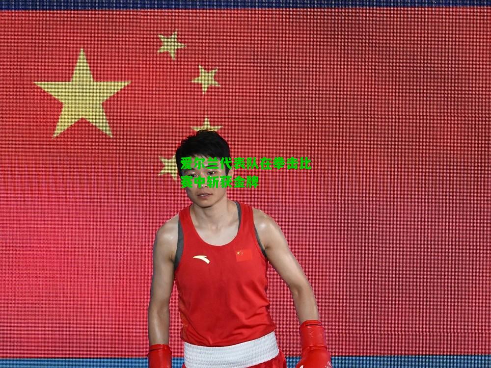 爱尔兰代表队在拳击比赛中斩获金牌