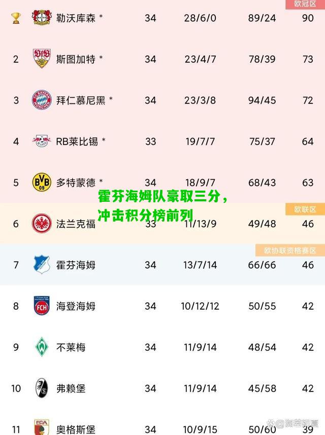 霍芬海姆队豪取三分，冲击积分榜前列