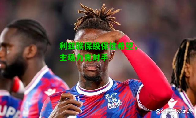 利兹联保级保住希望，主场力克对手