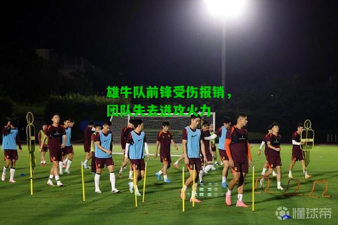 雄牛队前锋受伤报销，团队失去进攻火力