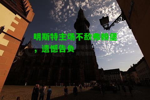 明斯特主场不敌弗赖堡，遗憾告负