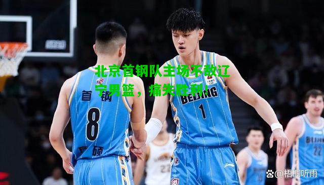 北京首钢队主场不敌辽宁男篮，痛失胜利！
