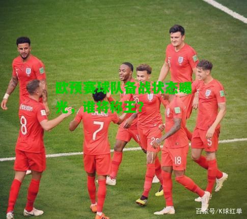 欧预赛球队备战状态曝光，谁将称王？