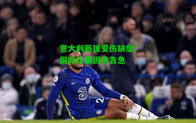 意大利新援受伤缺席：国际比赛因伤告急