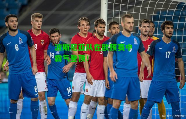 波斯尼亚队在欧预赛中霸气登顶！