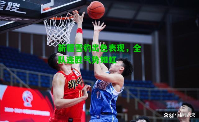 新疆雪豹出色表现，全队连胜气势如虹