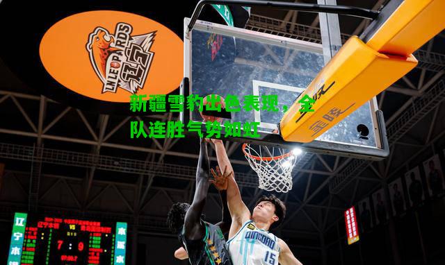 新疆雪豹出色表现，全队连胜气势如虹