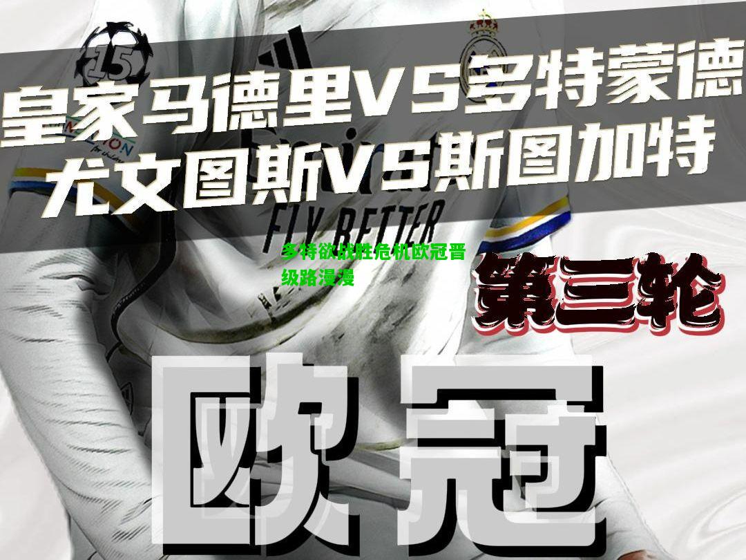 多特欲战胜危机欧冠晋级路漫漫