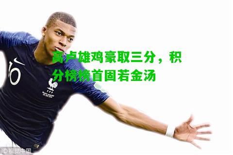 高卢雄鸡豪取三分，积分榜榜首固若金汤
