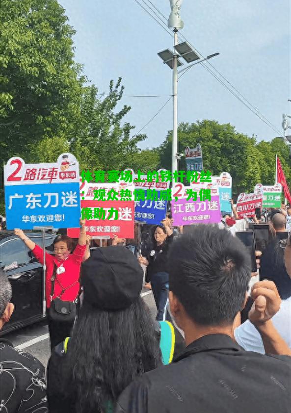 体育赛场上的铁杆粉丝：观众热情助威，为偶像助力