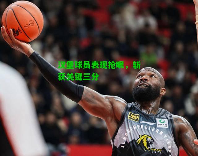 汉堡球员表现抢眼，斩获关键三分