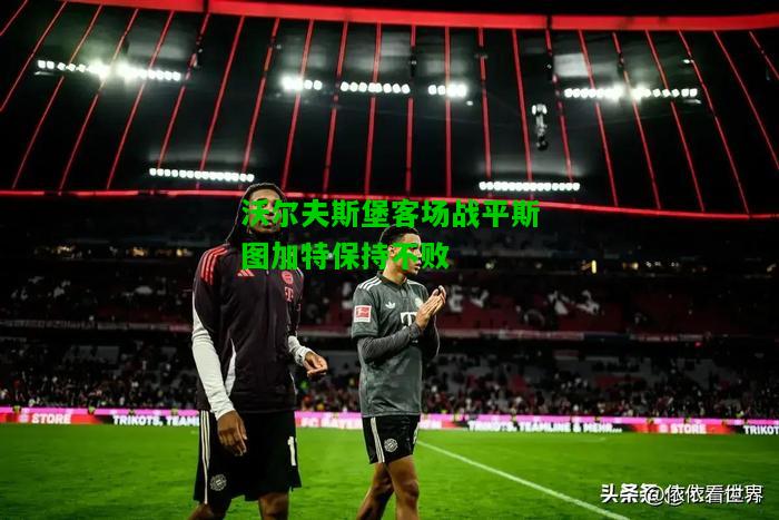 沃尔夫斯堡客场战平斯图加特保持不败