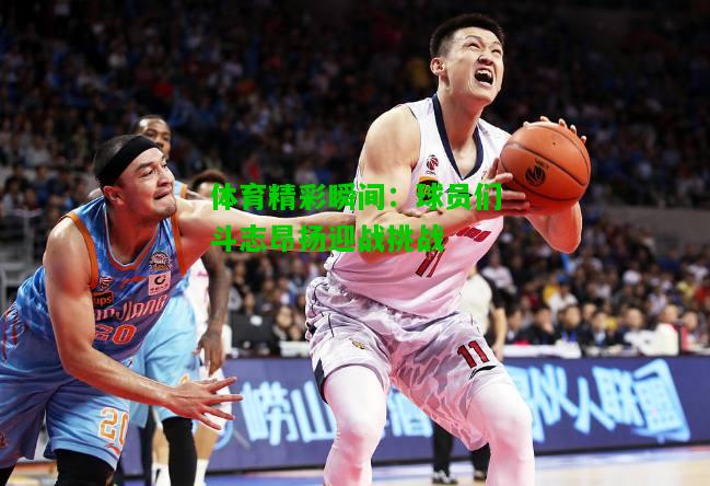 体育精彩瞬间：球员们斗志昂扬迎战挑战