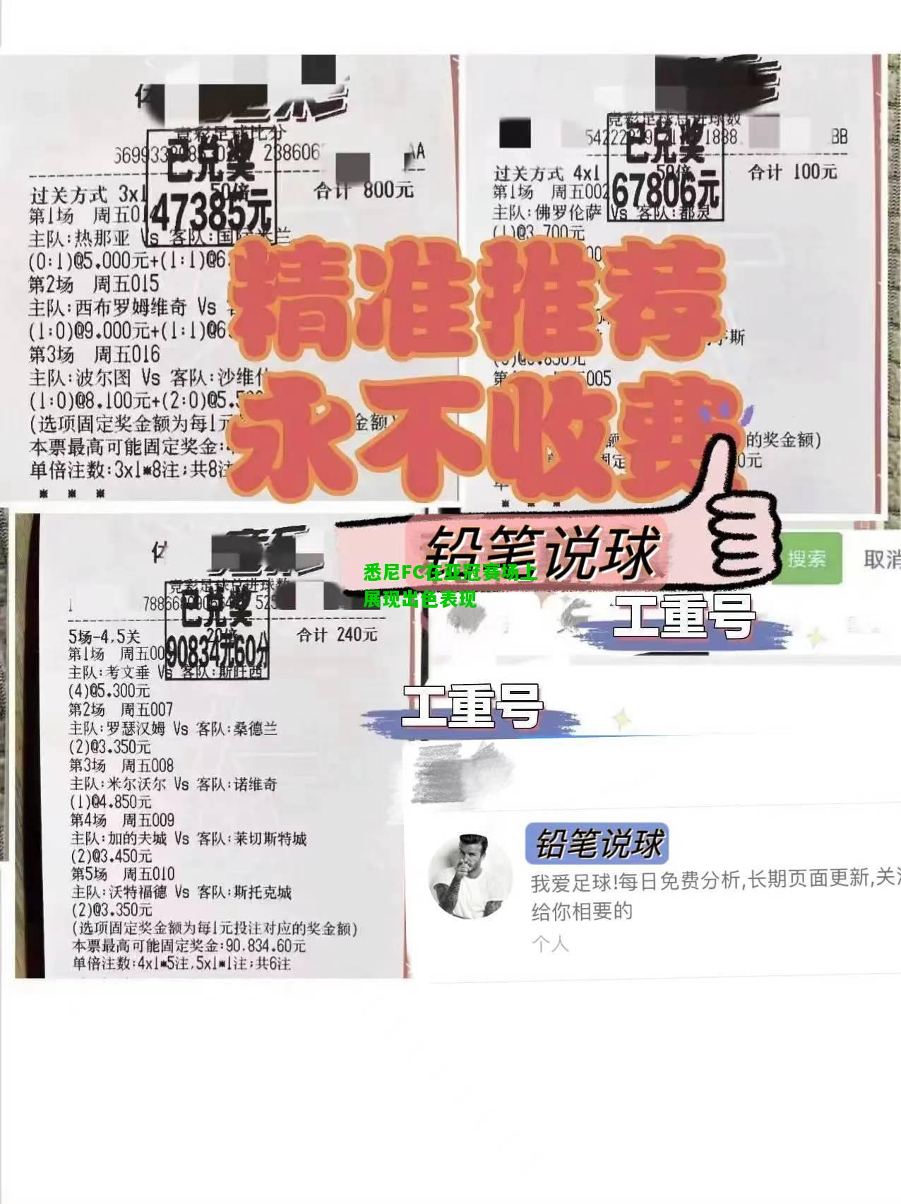 悉尼FC在亚冠赛场上展现出色表现
