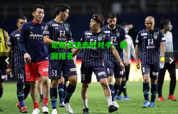 尼斯主场击败对手，稳固排名