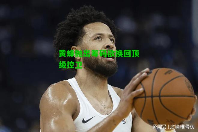 黄蜂抛出筹码欲换回顶级控卫