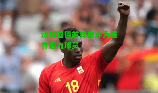 沃特福德前锋被评为最有潜力球员