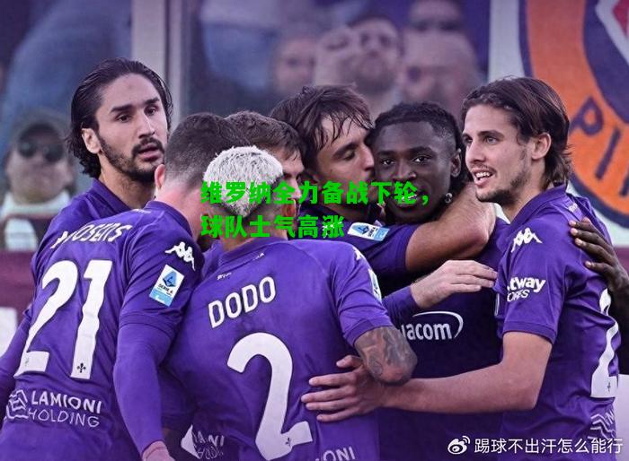 维罗纳全力备战下轮，球队士气高涨
