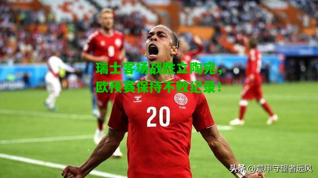 瑞士客场战胜立陶宛，欧预赛保持不败纪录！