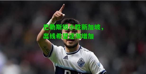 巴勒斯坦小胜新加坡，出线希望逐渐增加