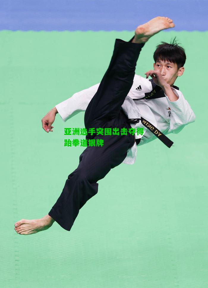 亚洲选手突围出击夺得跆拳道银牌