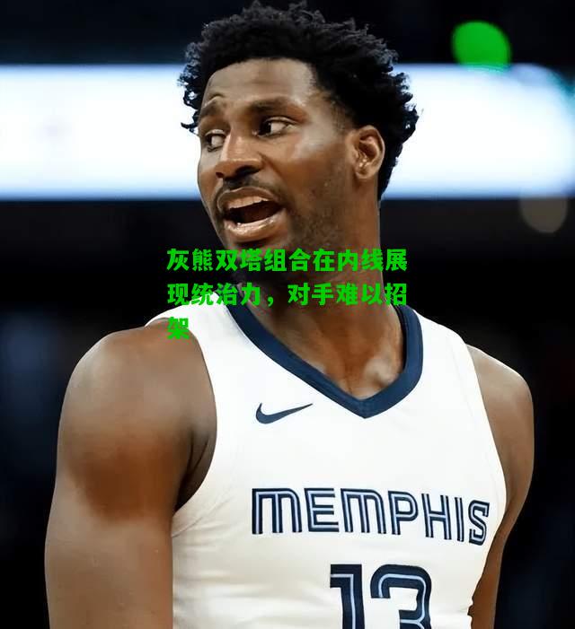 灰熊双塔组合在内线展现统治力，对手难以招架