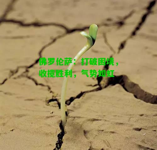 佛罗伦萨：打破困境，收揽胜利，气势如虹