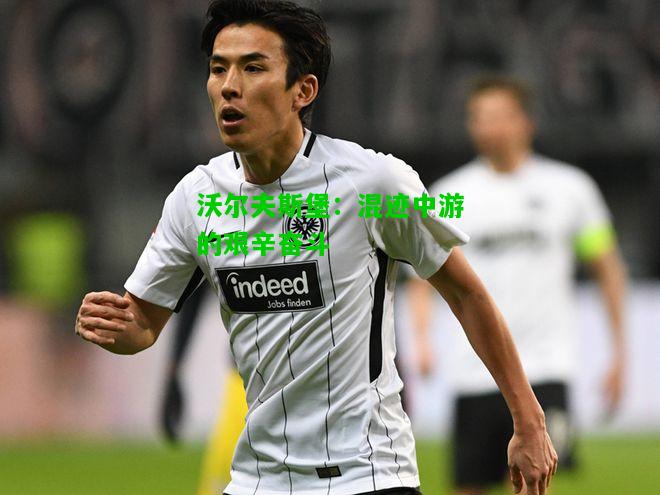 沃尔夫斯堡：混迹中游的艰辛奋斗