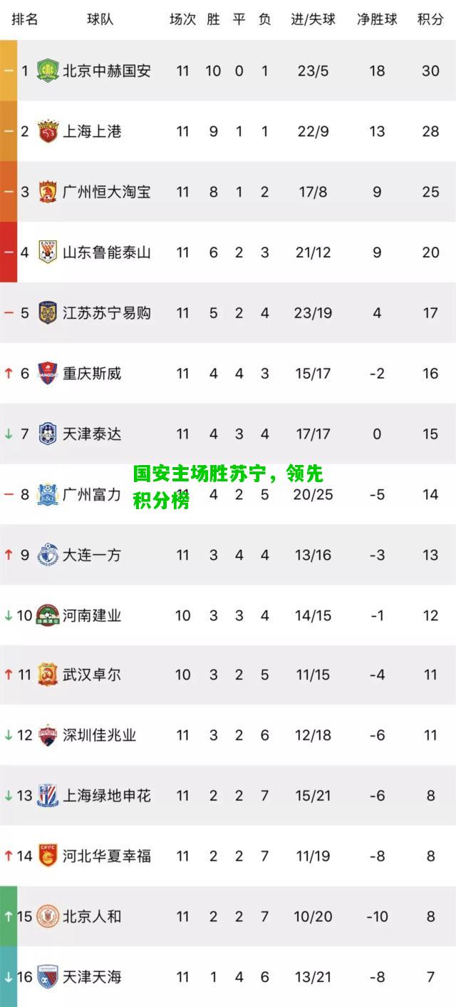 国安主场胜苏宁，领先积分榜