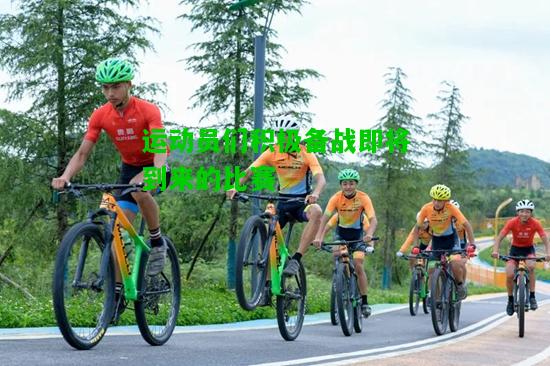 运动员们积极备战即将到来的比赛